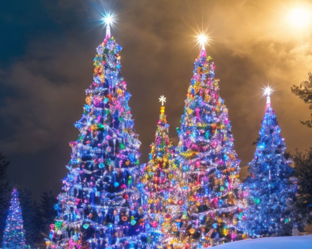 Colorful lights on Christmas trees under a starry night sky with snow-covered ground.