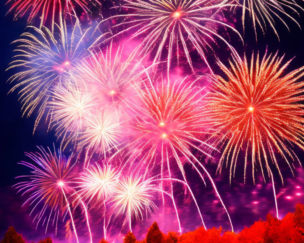 Colorful red and white fireworks against a deep blue night sky