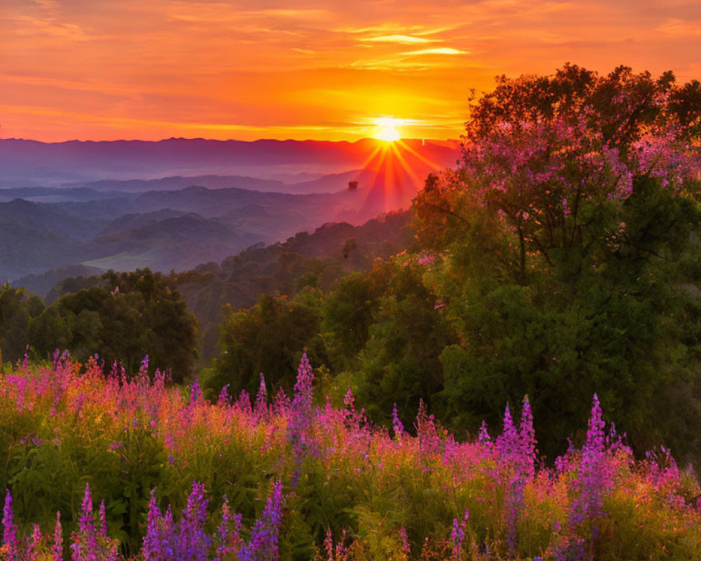 Colorful sunset over layered landscape with greenery and wildflowers