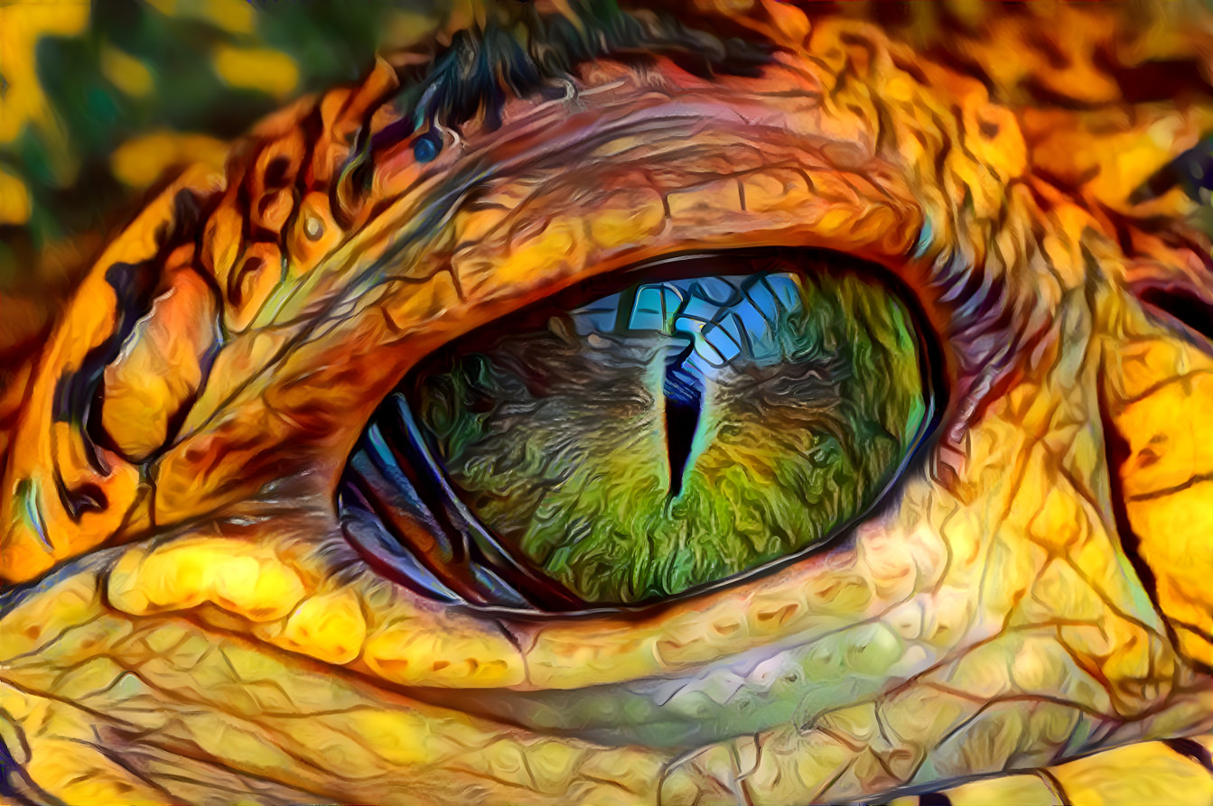 Eye See You -- Crocodile Eye 