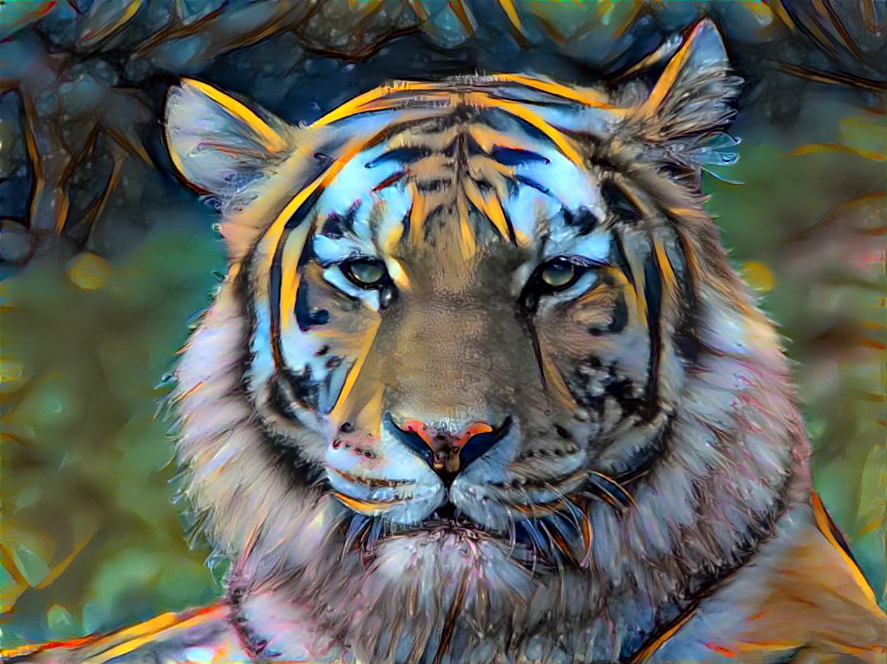 Sumatran Tiger with Frosted Tips