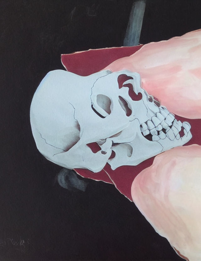 Detailed Primate Skull Painting with Pink Shading on Jaw