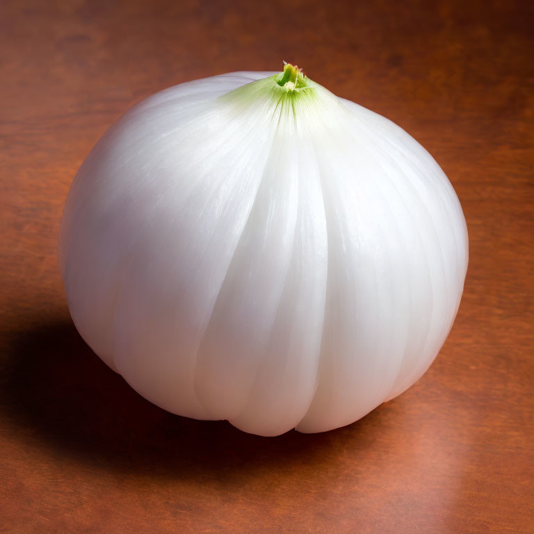 Whole unpeeled white onion on glossy wooden surface