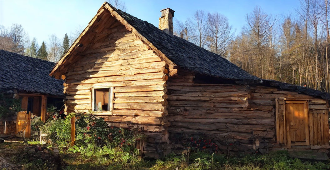 Wooden house