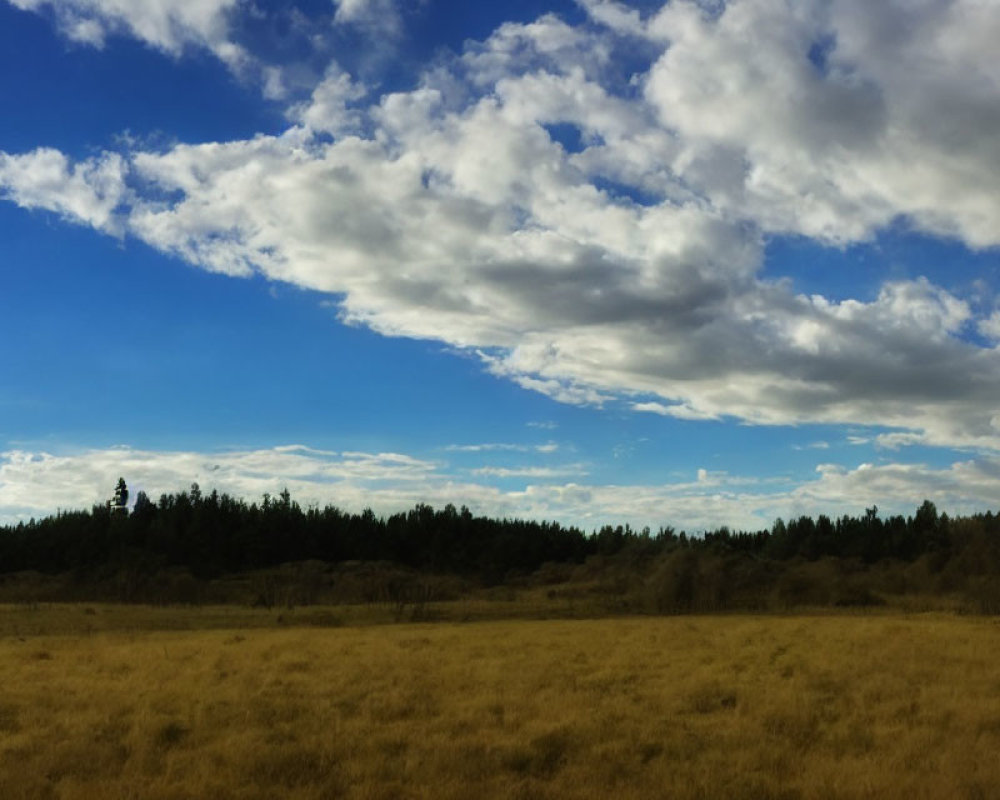 Tranquil landscape: golden grass field, blue sky, fluffy clouds, green trees