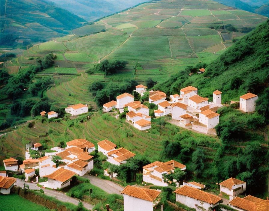 Rural village with white houses in green terraced fields