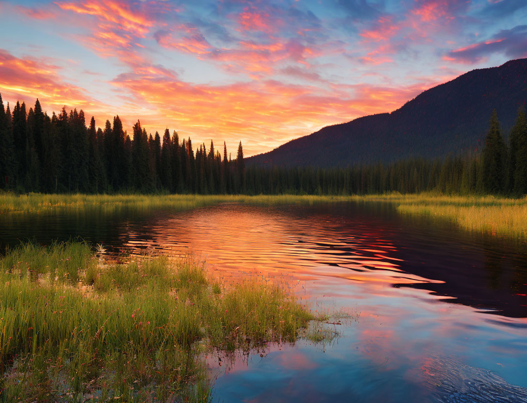 Tranquil sunset scene: lake, vibrant clouds, silhouetted pine trees & mountains