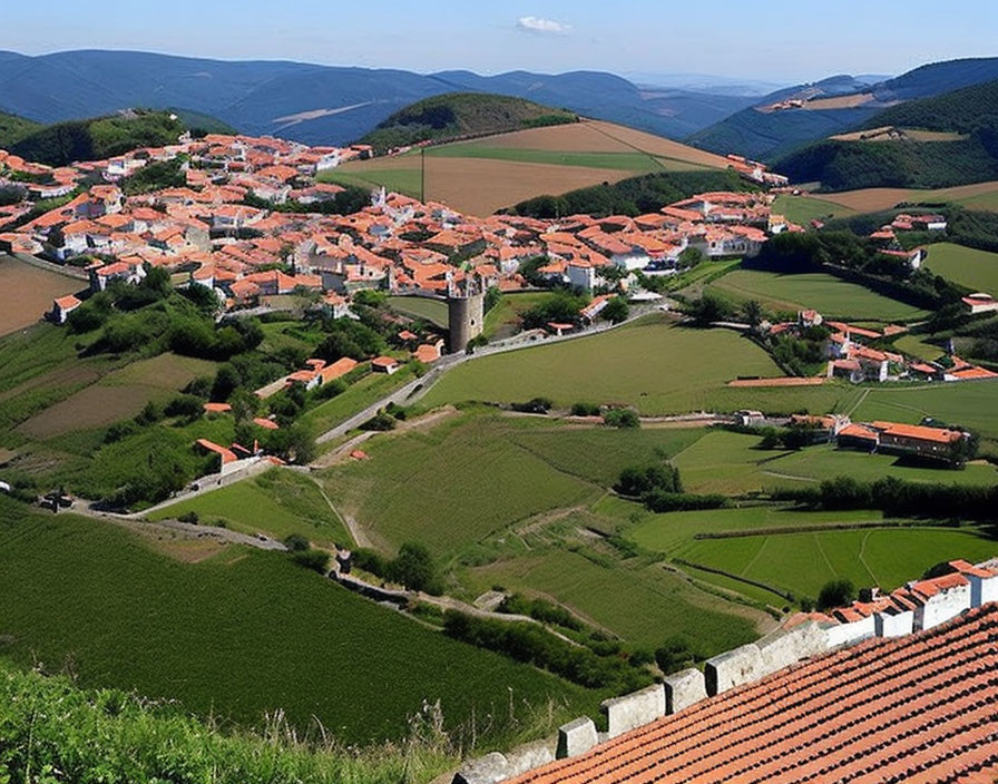 Scenic aerial view of village with orange rooftops and green hills