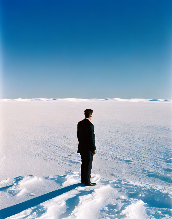 Person in Dark Suit Standing on Snow-Covered Landscape