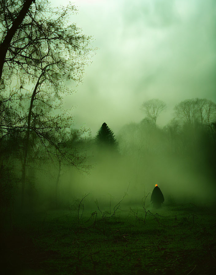 Misty forest scene with solitary figure in cloak