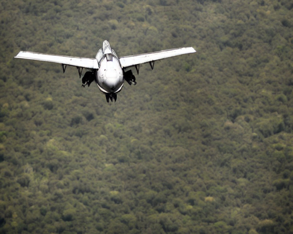 Airplane in flight with landing gear down over lush greenery