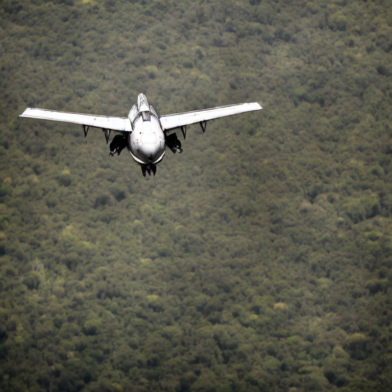 Airplane in flight with landing gear down over lush greenery