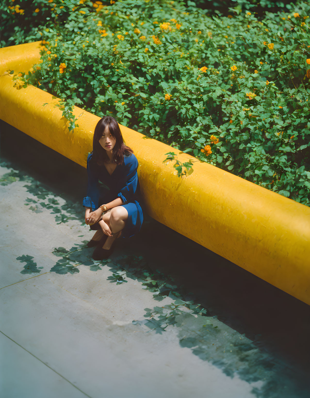 Woman in Blue Dress Sitting by Yellow Curb Surrounded by Greenery