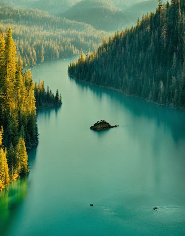 Tranquil lake with island, evergreen forests, and golden sunlight