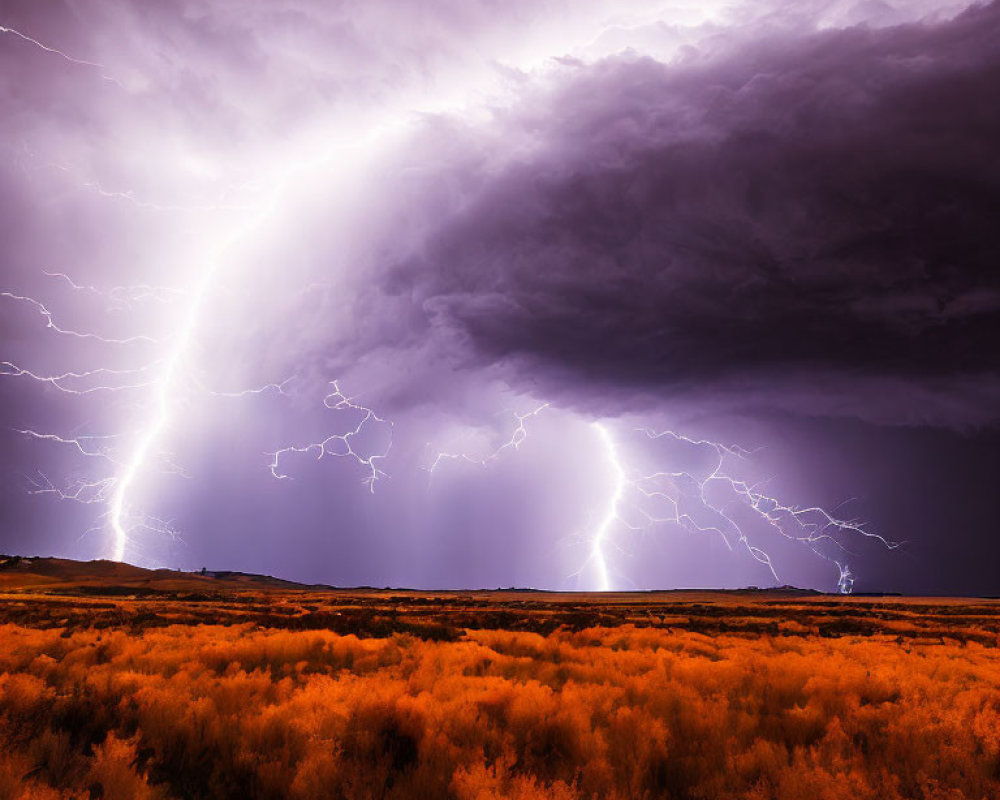 Vivid lightning strikes in dramatic thunderstorm landscape