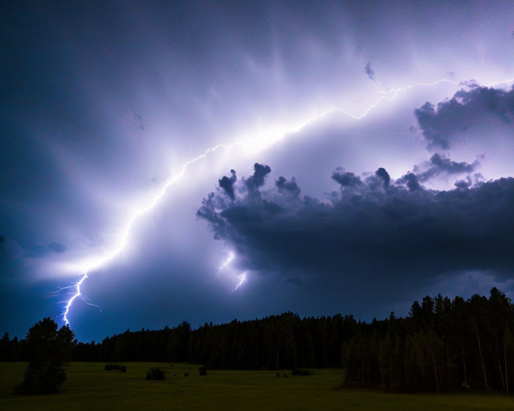 Bright lightning bolt in starry night sky over dark forest