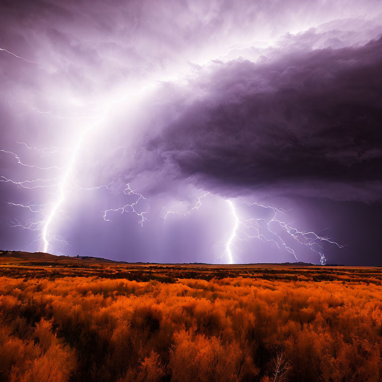 Vivid lightning strikes in dramatic thunderstorm landscape