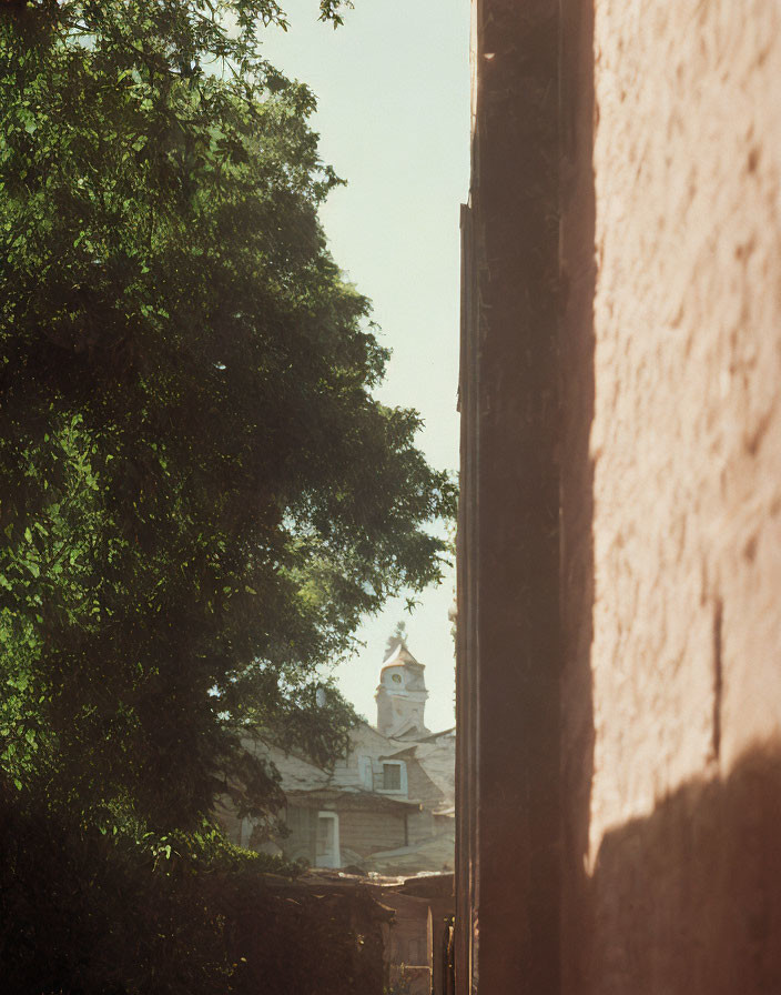 Sunlit alleyway with building and foliage, leading to classic façade.