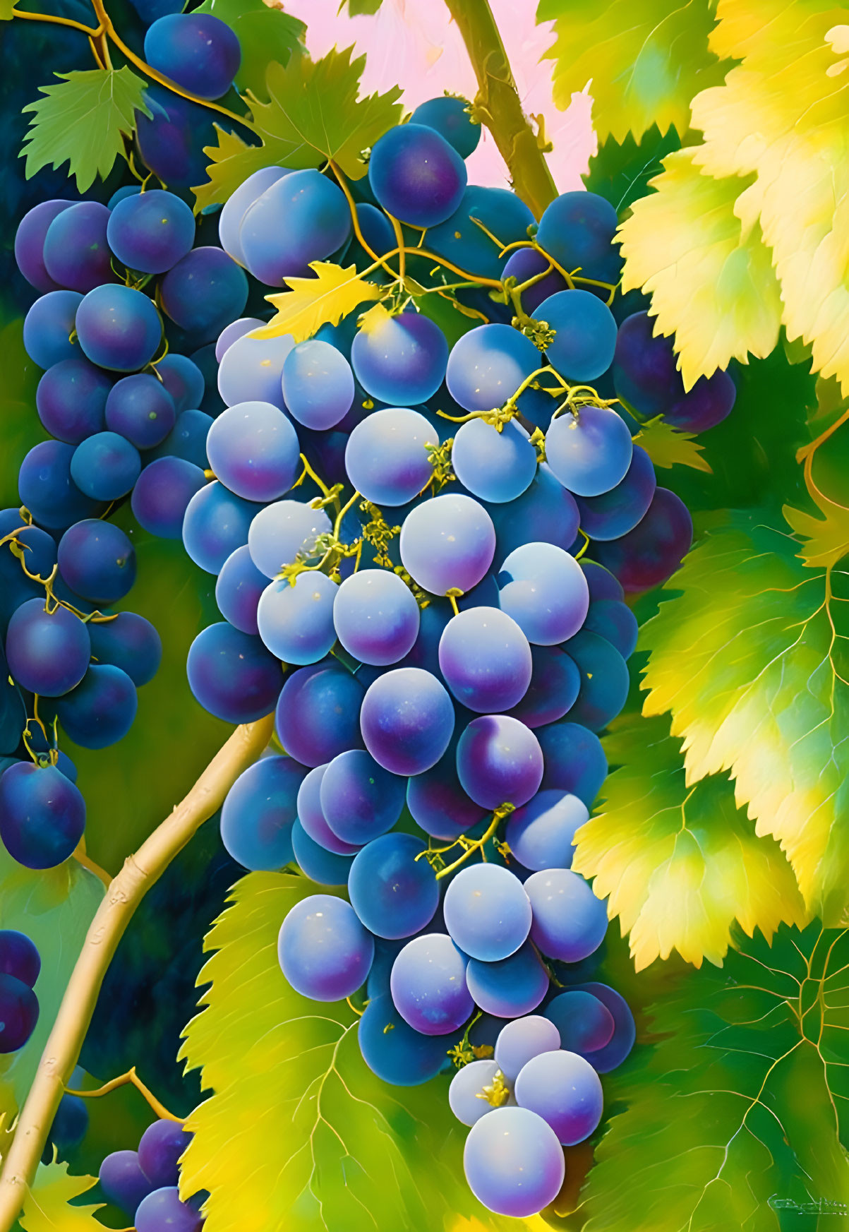 Colorful illustration of ripe blue-purple grapes on a vine with green leaves