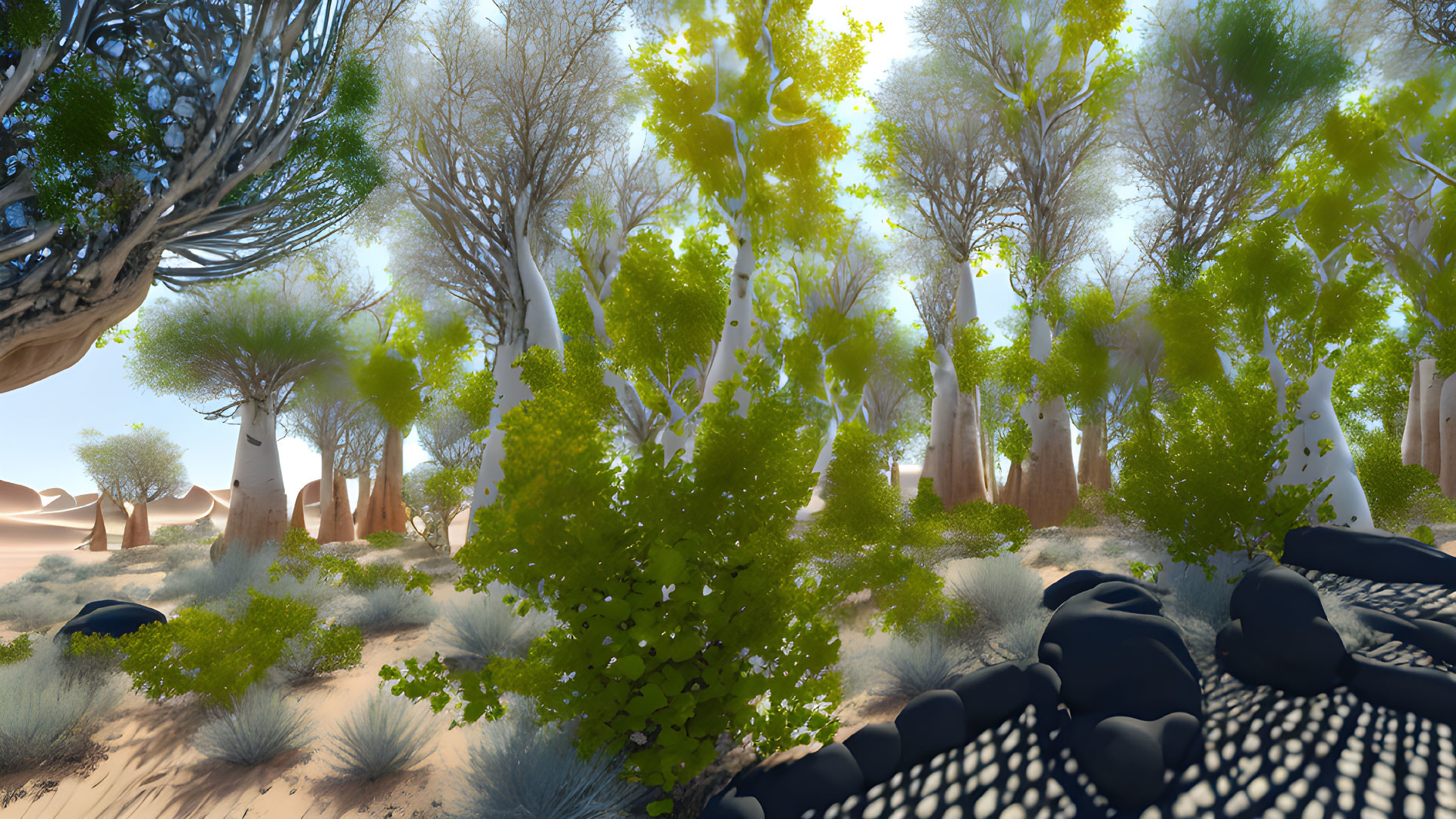 Lush forest landscape with diverse trees, clear sky, and sandy terrain