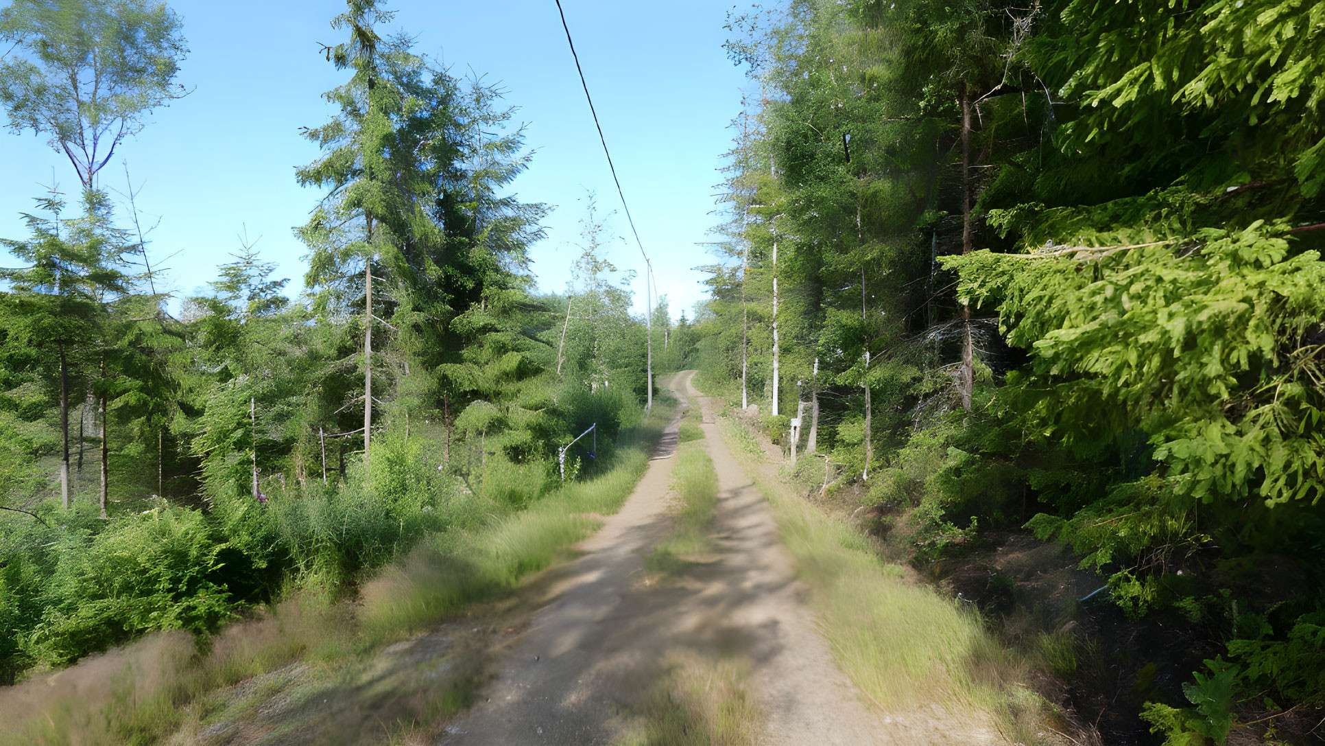 Scenic forest trail with power lines under blue sky