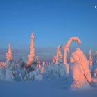 Surreal landscape with organic-shaped structures and crescent moon