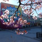 Abandoned cityscape with cherry tree, figure, and clear sky