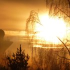 Forest fire consuming trees under orange sky with flames and smoke