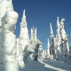 Surreal landscape with tall white structures and fantastical trees