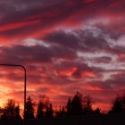 Dramatic fiery landscape with silhouetted trees and red-orange clouds