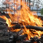 Intense forest fire with engulfed trees and fallen logs in smoky scene