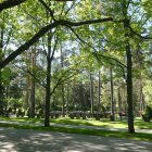 Colorful garden with flowering trees, harp, lanterns, archways, and lush greenery