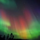 UFOs hover under aurora sky with colorful beams over trees