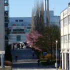 Ruined cityscape with overgrown buildings, pink tree, stairs, birds, blue skies