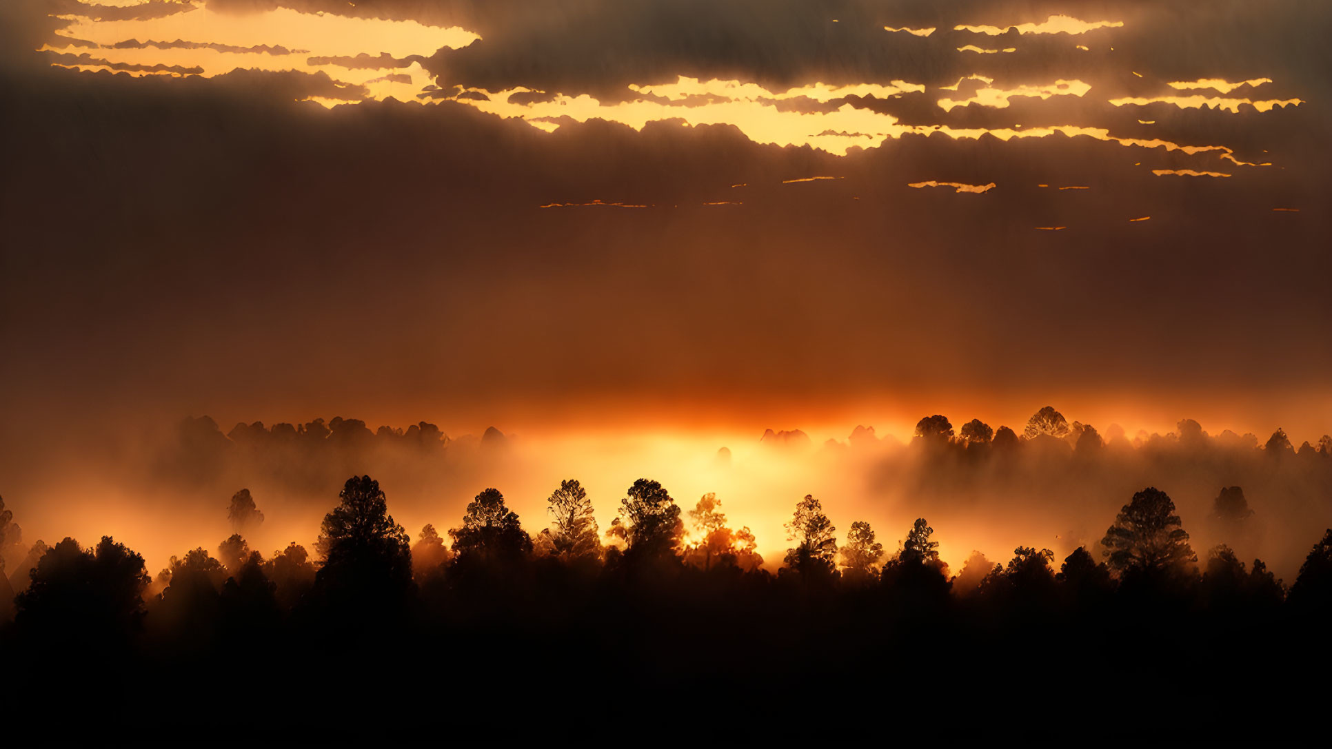 Forest silhouette at sunrise with clouds and fog