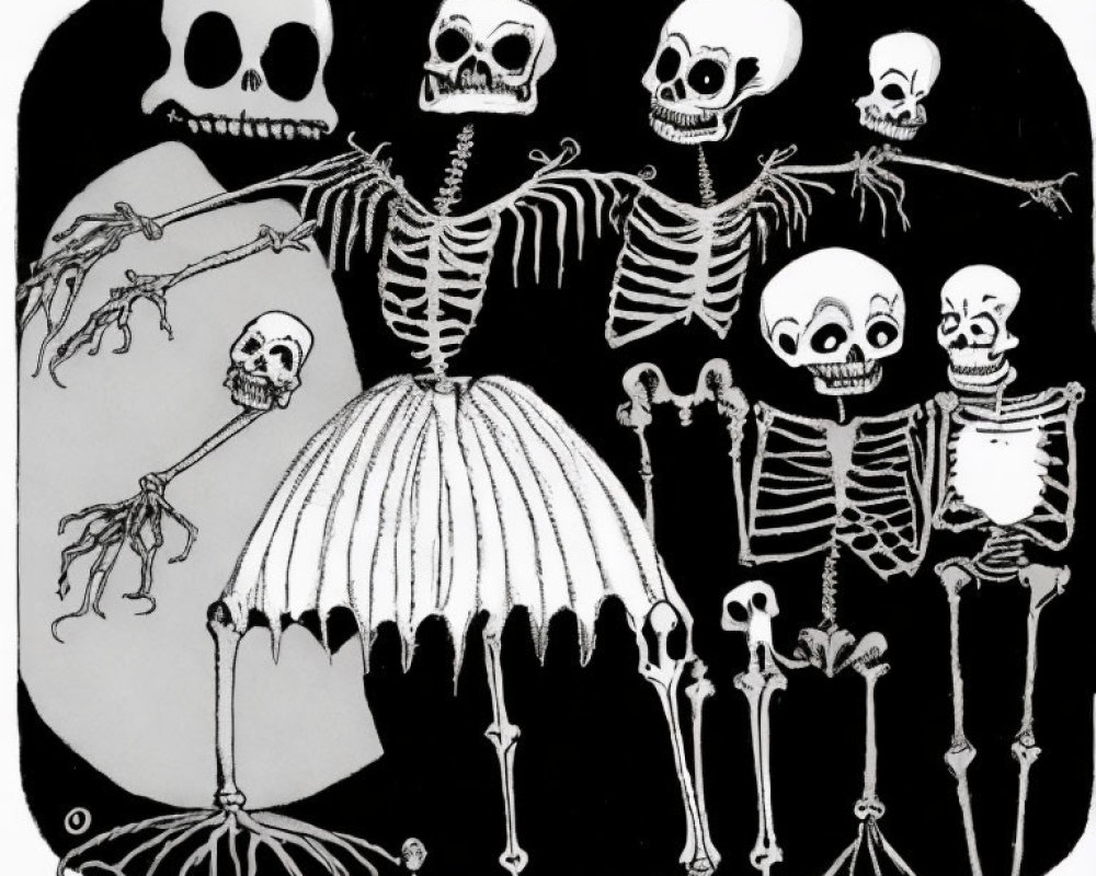 Whimsical Smiling Skeletons Illustration on Dark Background