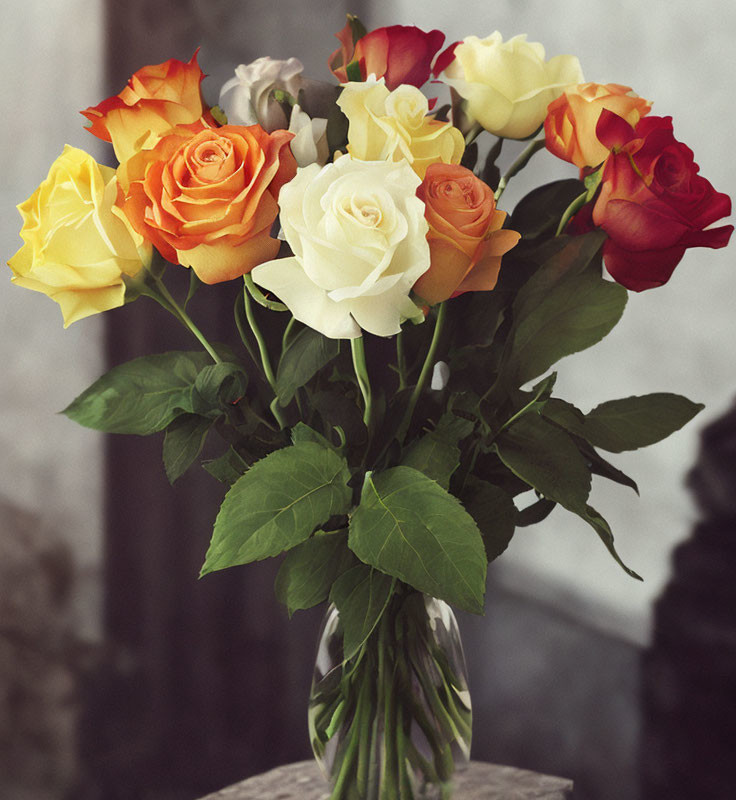 Multicolored Rose Bouquet in Glass Vase on Blurred Background