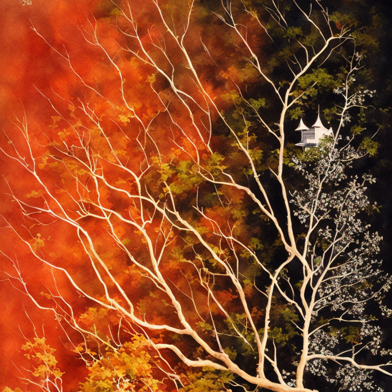 Leafless white tree against red-orange autumn foliage with structure peeking through corner