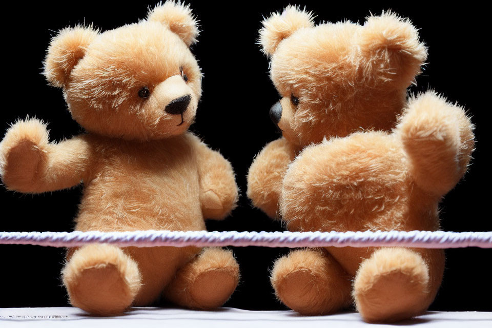 Teddy bears in mock confrontation on pink line against black background