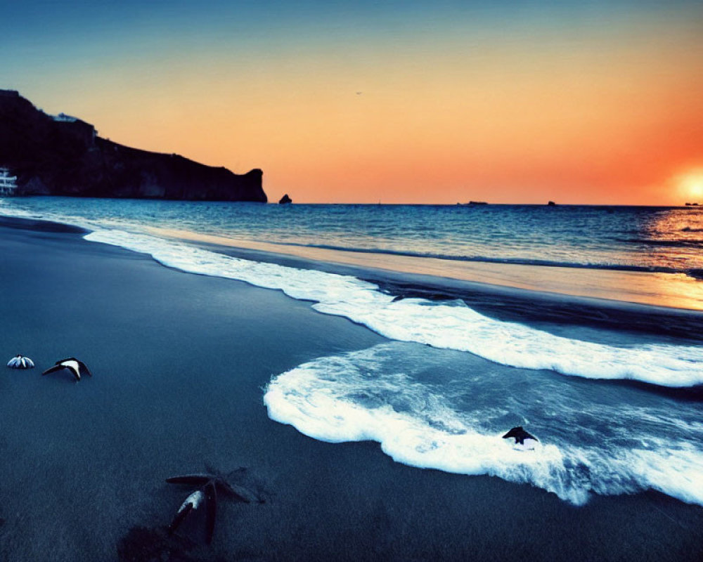 Tranquil sunset beach scene with orange sky, gentle waves, and birds.