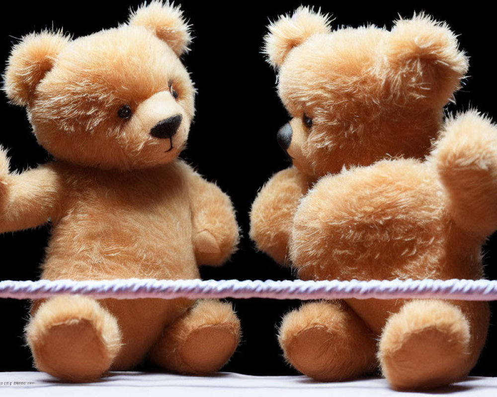 Teddy bears in mock confrontation on pink line against black background