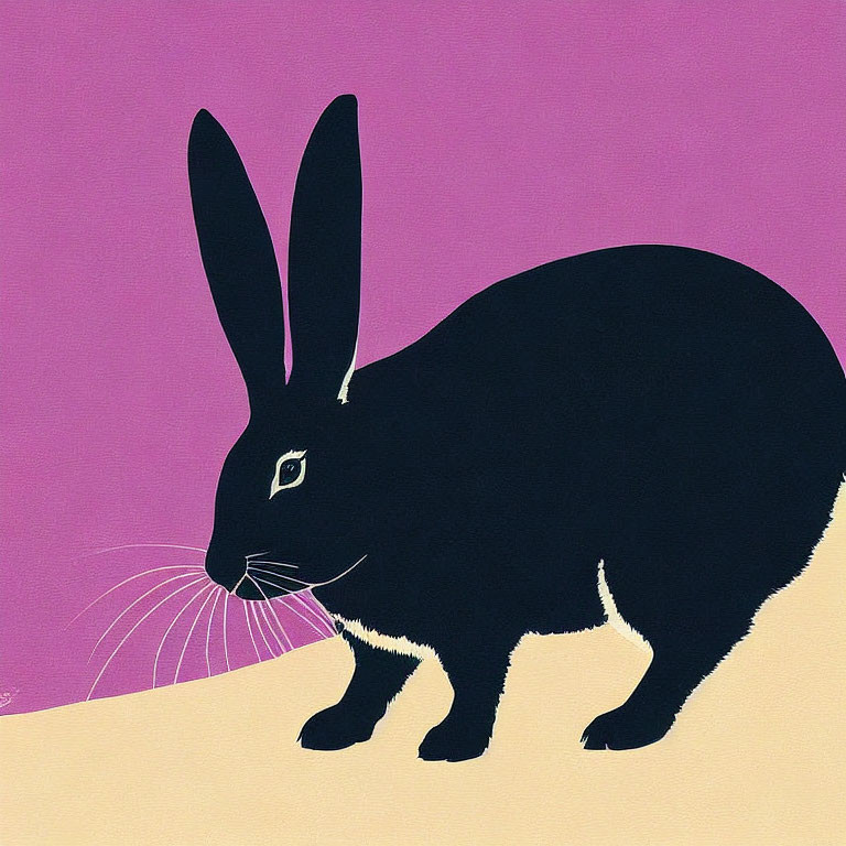 Black Rabbit Graphic Illustration on Pink and Tan Background