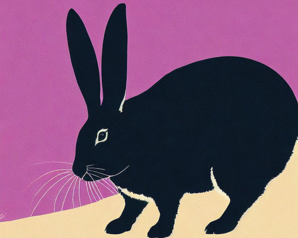 Black Rabbit Graphic Illustration on Pink and Tan Background