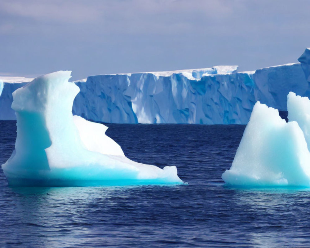 Icebergs and glacier in calm sea under blue sky