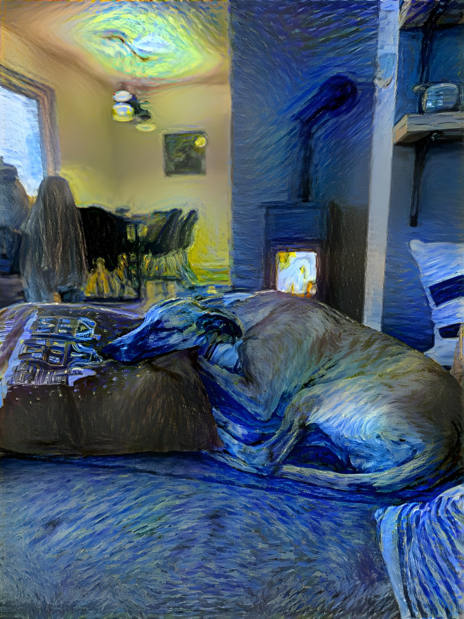 starry whippet