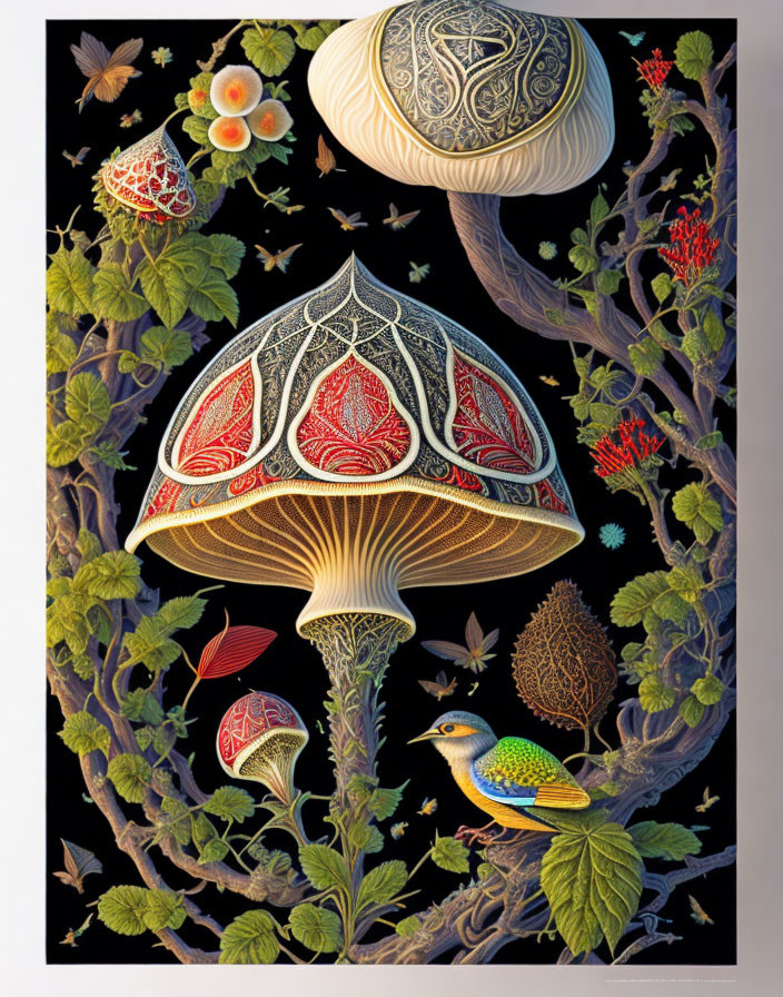 Colorful bird and stylized mushrooms in intricate artwork on black background