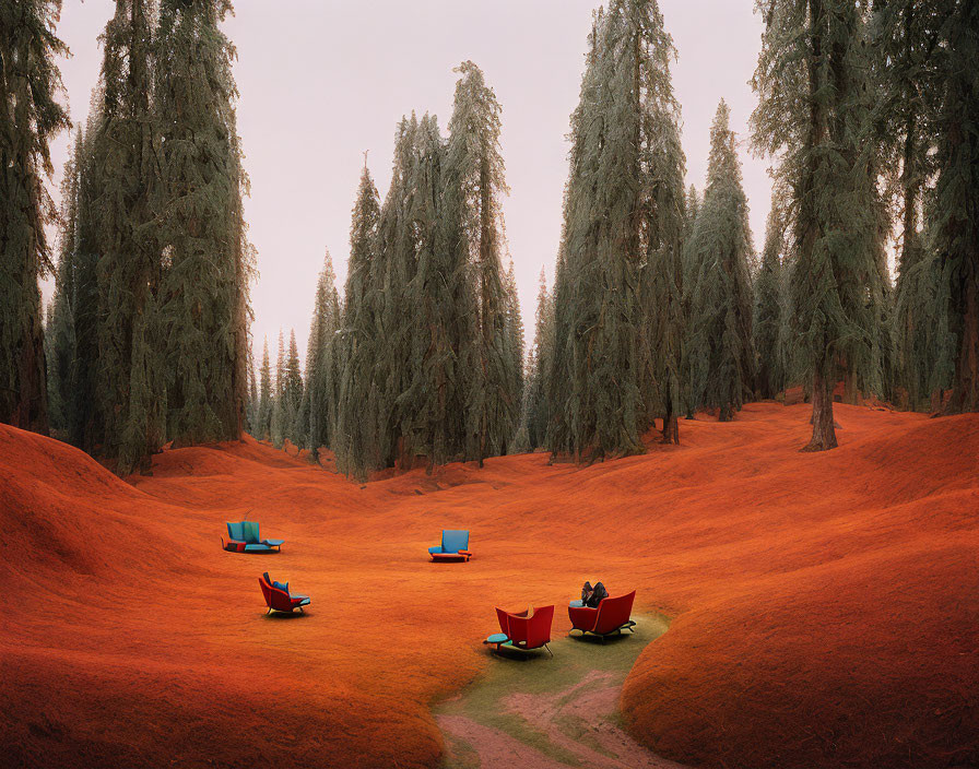 Serene clearing with colorful chairs surrounded by lush trees