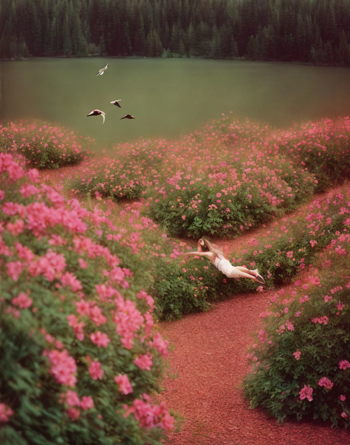 Person in White Dress Surrounded by Pink Flowers and Birds on Narrow Path