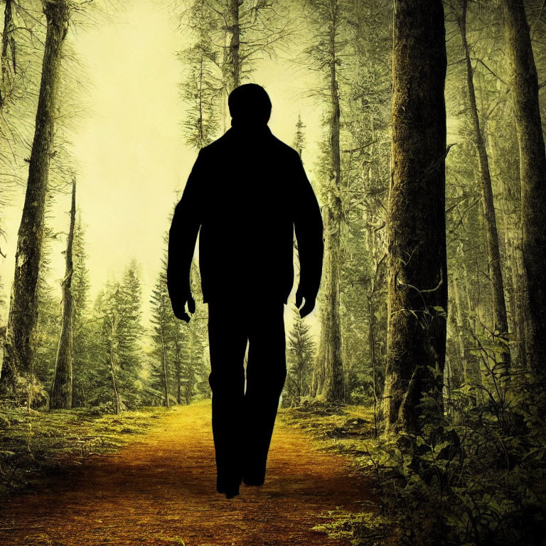 Person walking in misty forest with glowing background