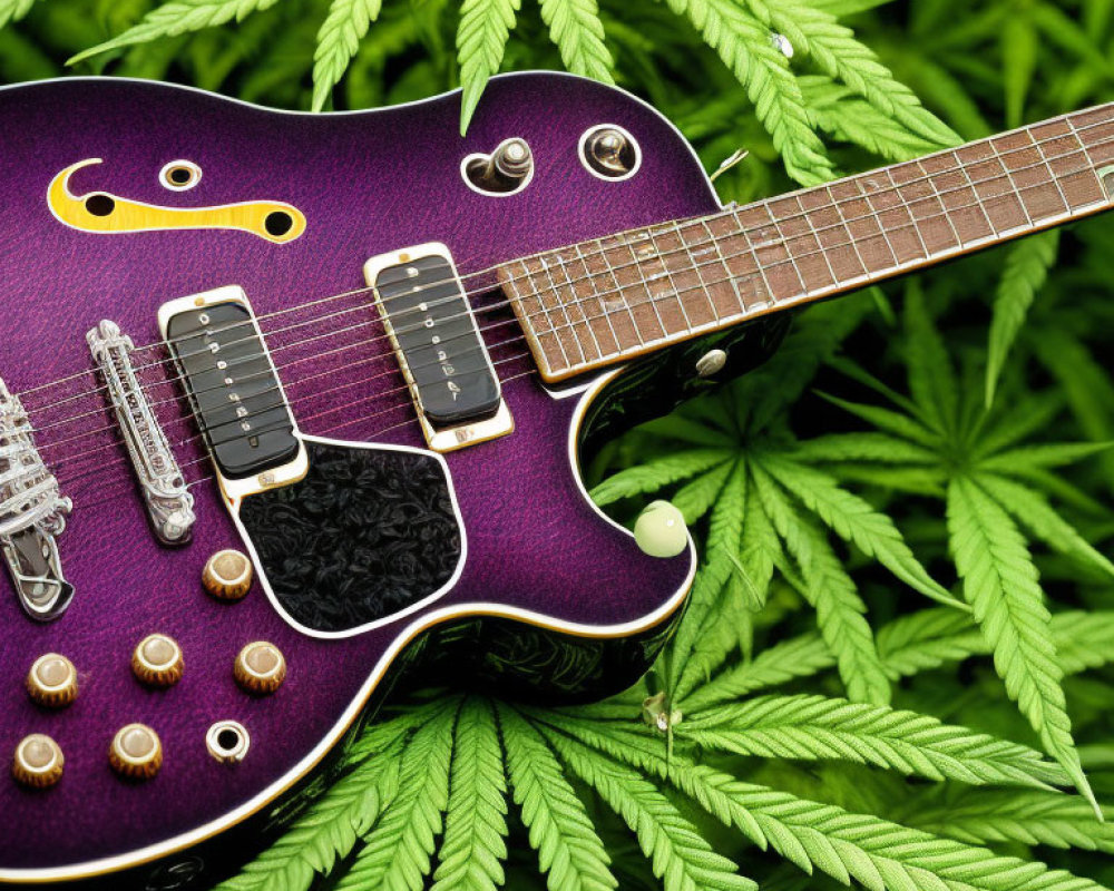 Purple Electric Guitar on Green Cannabis Leaves